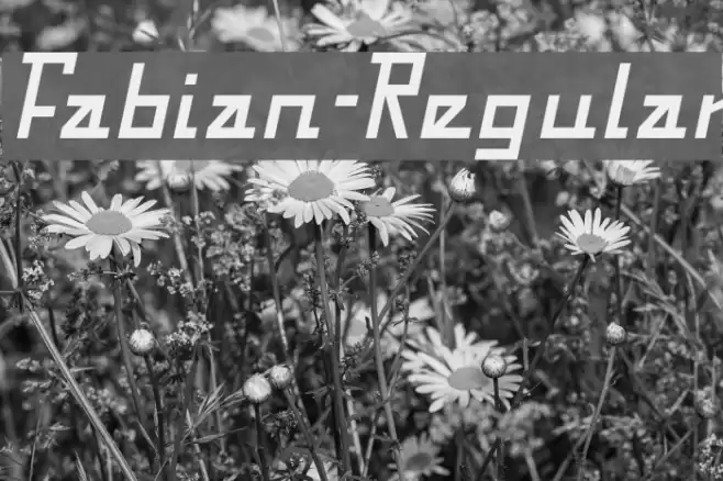 Fabian-Regular Font examples