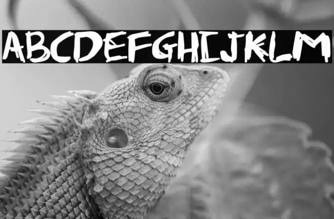 Fabian Font examples