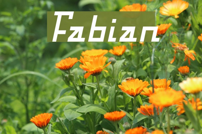 Fabian Font examples