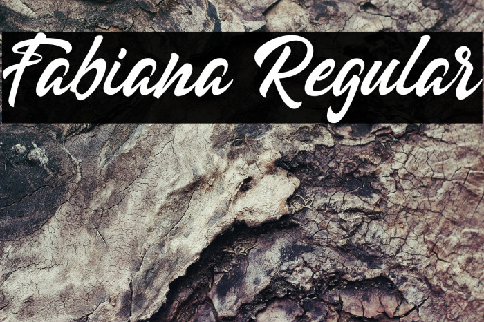 Fabiana Regular Example 2