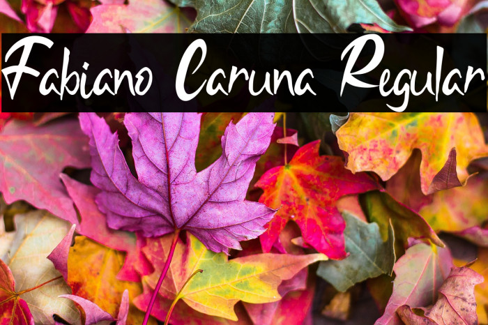 Fabiano Caruna Regular Example 1