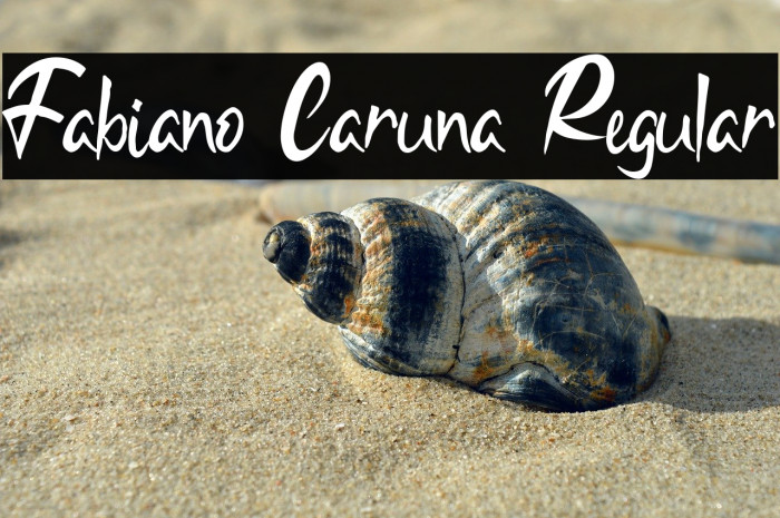 Fabiano Caruna Regular Example 2