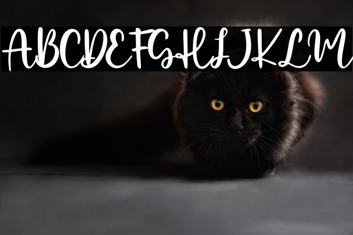 Fabiolla - Personal Use Example 1