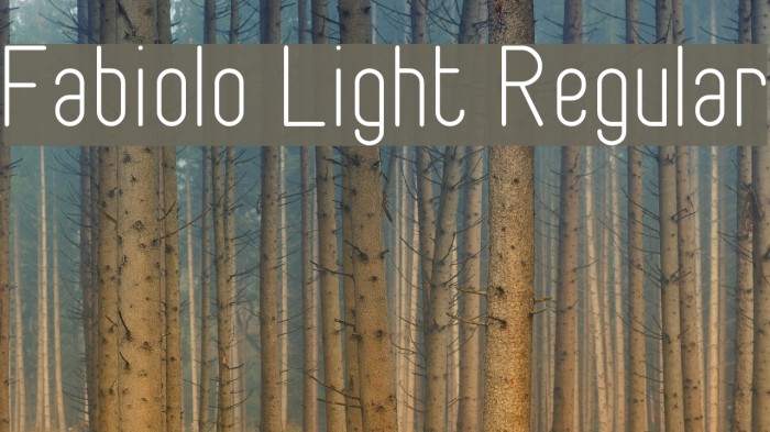 Fabiolo Light Regular Example 1