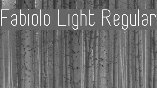 Fabiolo Light Regular Font examples