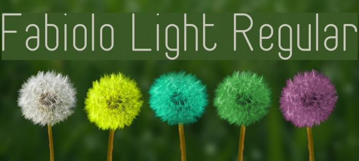 Fabiolo Light Regular Example 3