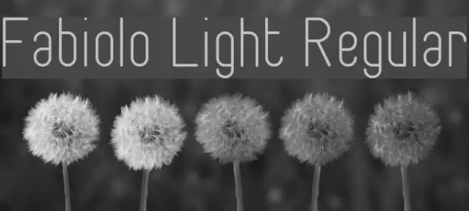 Fabiolo Light Regular Font examples