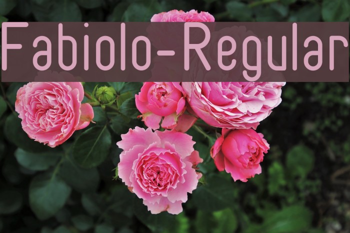 Fabiolo-Regular Font examples