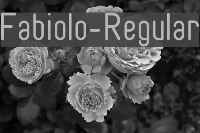 Fabiolo-Regular خط examples