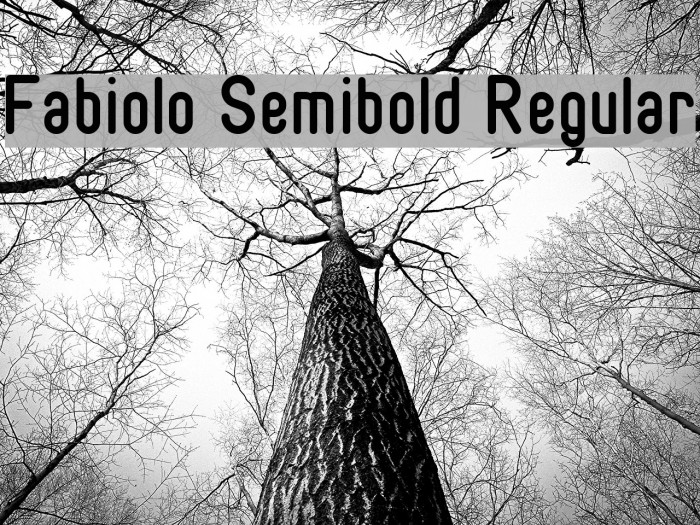 Fabiolo Semibold Regular Font examples