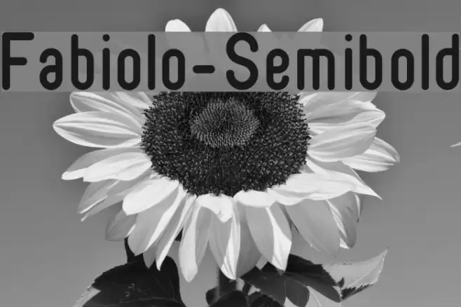 Fabiolo-Semibold Font examples