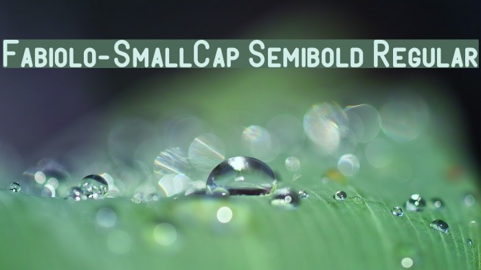 Fabiolo-SmallCap Semibold Regular Font examples