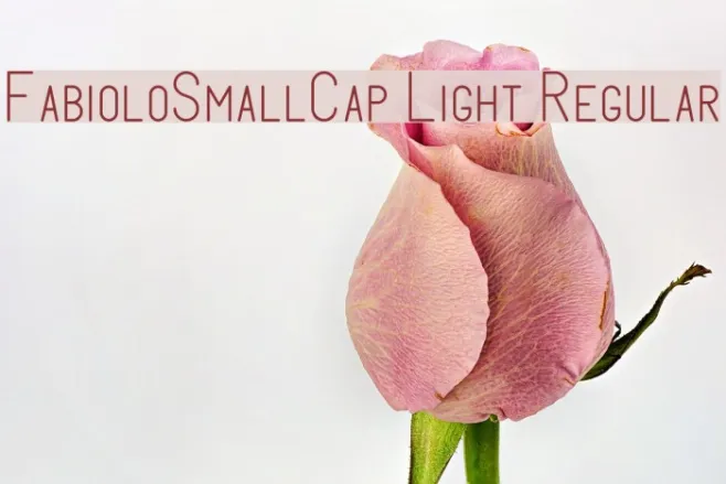 FabioloSmallCap Light Regular Example 2