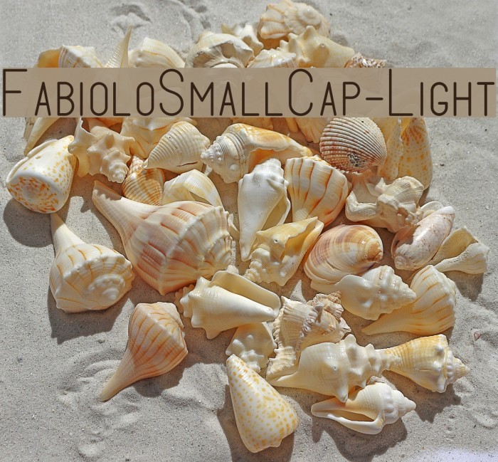 FabioloSmallCap-Light Example 1