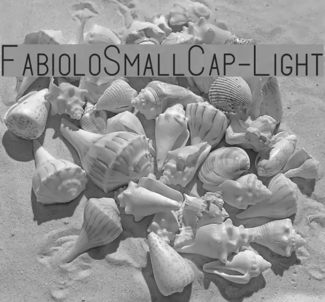 FabioloSmallCap-Light Font examples