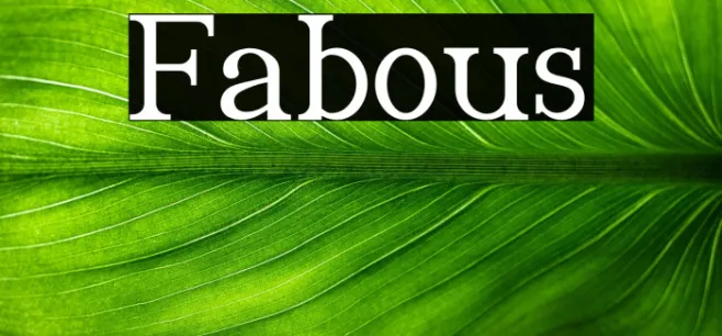 Fabious Example 1