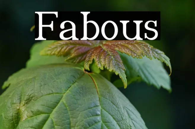 Fabious Example 2