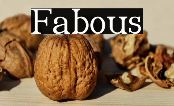 Fabious Example 3