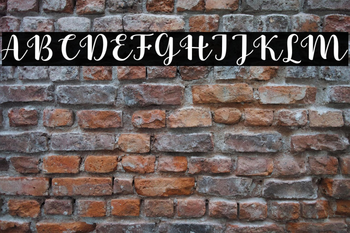 FabithaScript Example 2