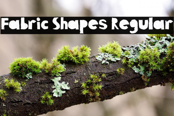 Fabric Shapes Regular Example 2