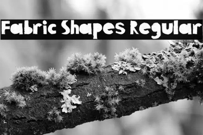Fabric Shapes Regular Font examples