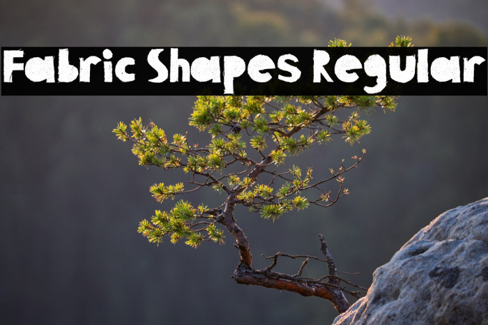 Fabric Shapes Regular Example 3