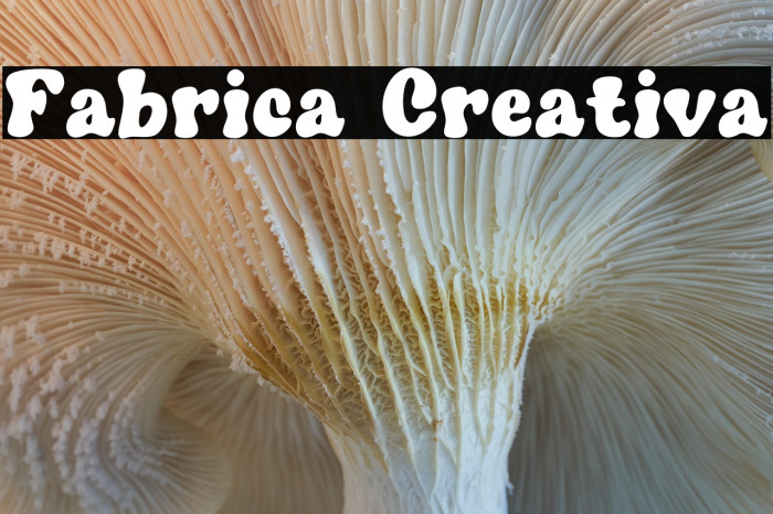 Fabrica Creativa Example 2