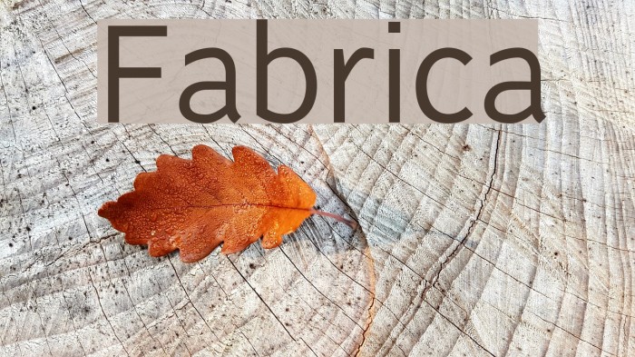 Fabrica Font examples