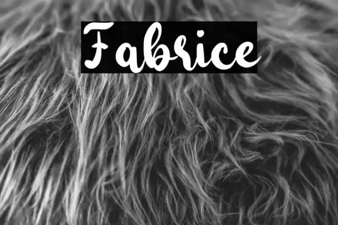 Fabrice Font examples