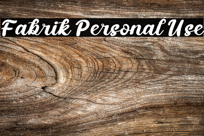 Fabrik Personal Use Font examples