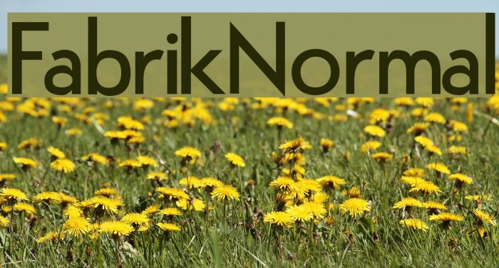 FabrikNormal Font examples