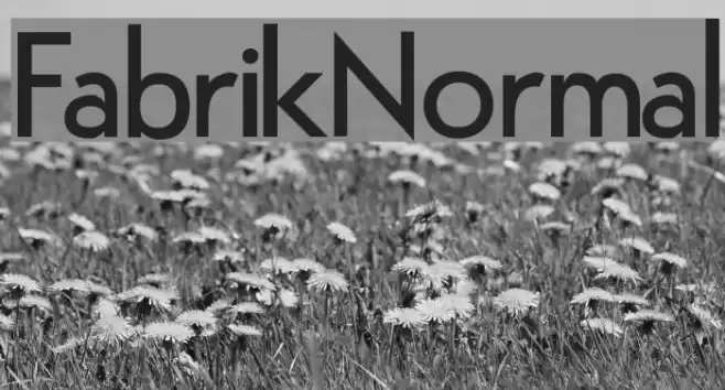 FabrikNormal Font examples