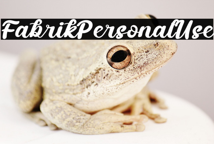 FabrikPersonalUse Example 3