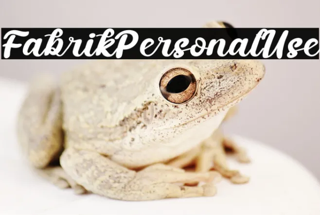 FabrikPersonalUse Example 3