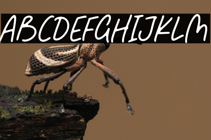 Fabulous Sunday Example 2