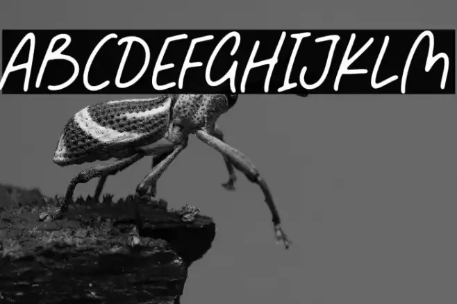 Fabulous Sunday 字体 examples