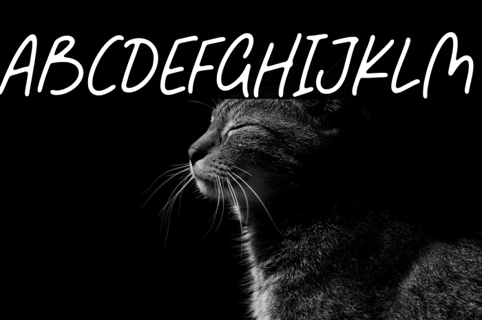 Fabulous Sunday Example 3