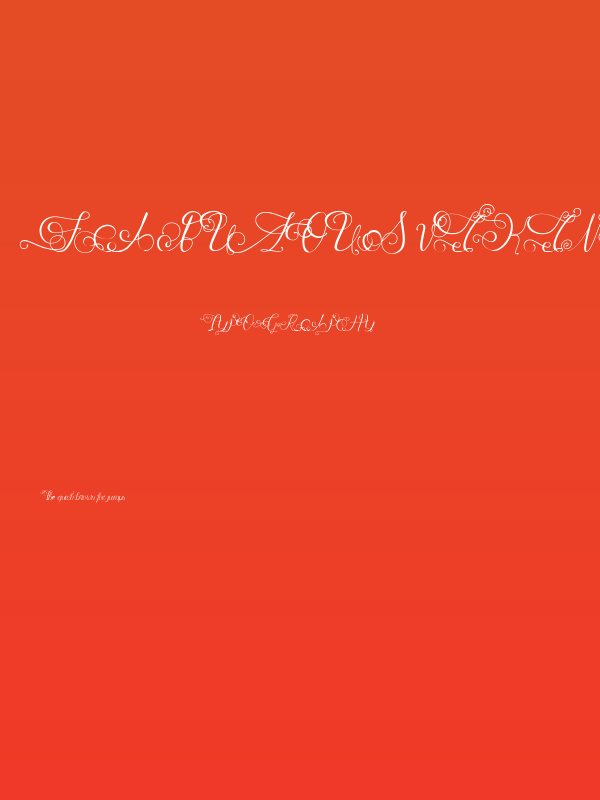 Fabulous Vikings Poster