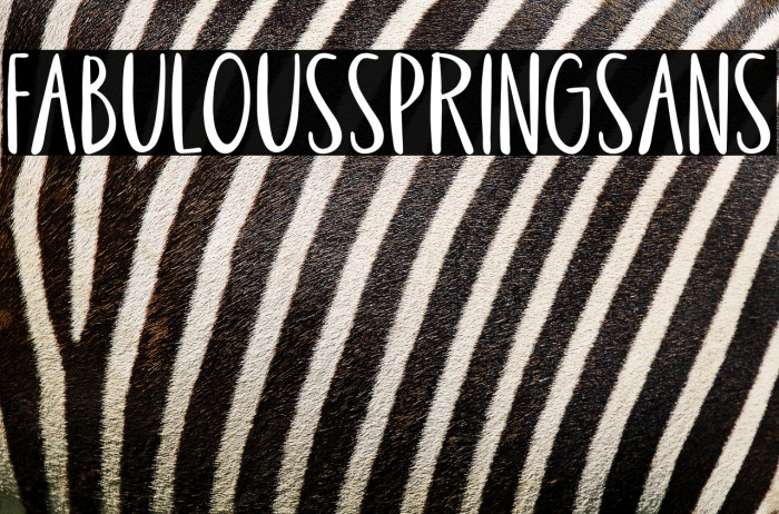 FabulousSpringSans Example 3