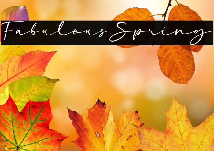 FabulousSpring Example 2