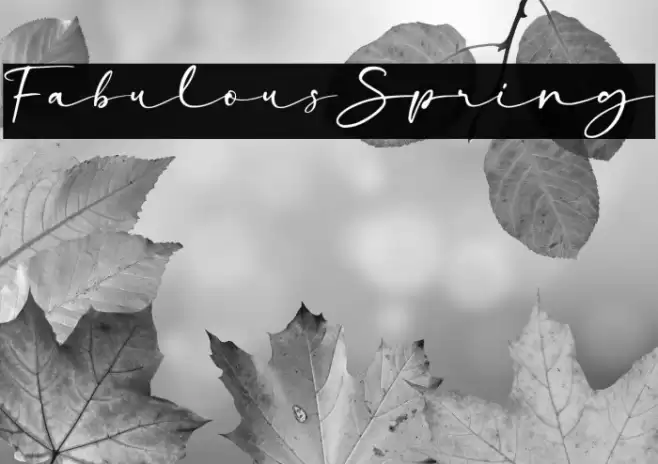 FabulousSpring Font examples