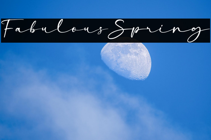 FabulousSpring Example 3