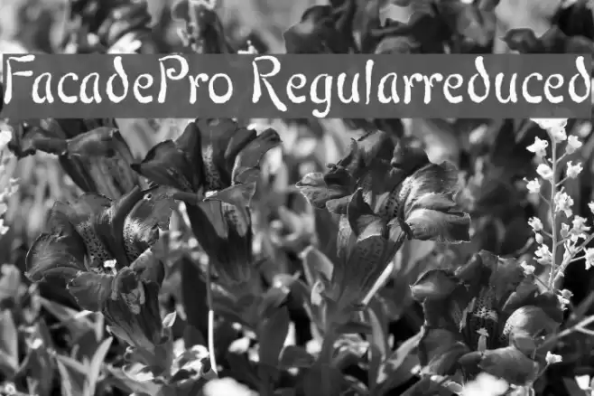 FacadePro-Regularreduced Font examples