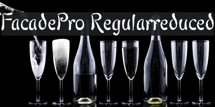 FacadePro-Regularreduced Example 2