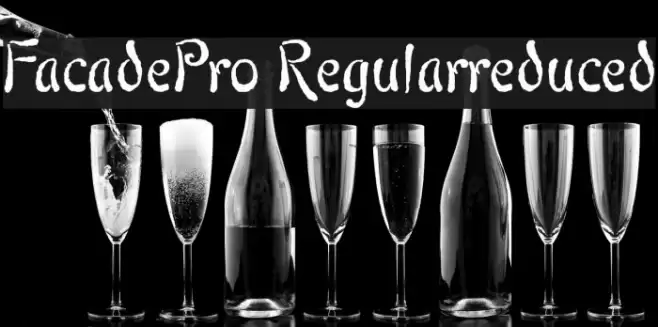 FacadePro-Regularreduced Font examples