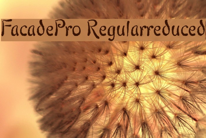 FacadePro-Regularreduced Example 3