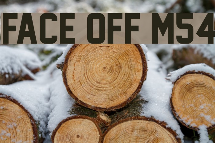 Face Off M54 Fonte examples