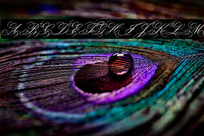 Face of Yesterday Example 2