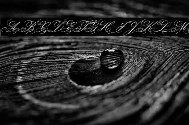 Face of Yesterday Font examples