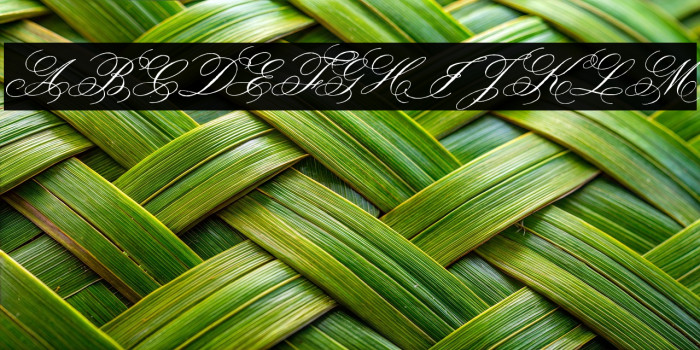 Face of Yesterday Example 3